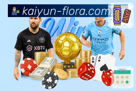 数据展示认证展示图